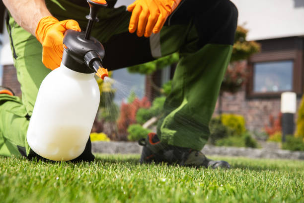 Best Bed Bug Extermination  in Freeburg, IL