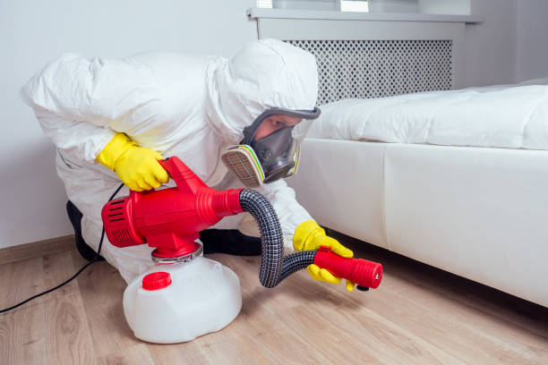 Best Flea Control Services  in Freeburg, IL