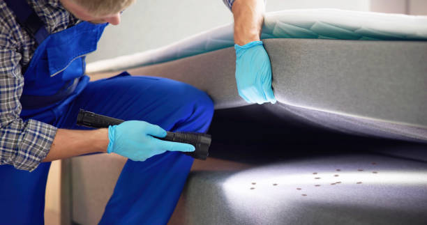 Best Pest Removal Services  in Freeburg, IL