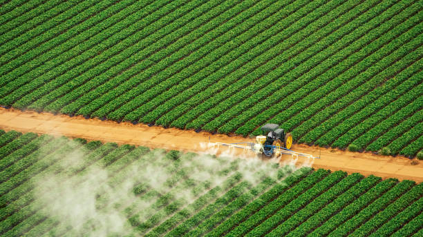 Best Mosquito Control Services  in Freeburg, IL